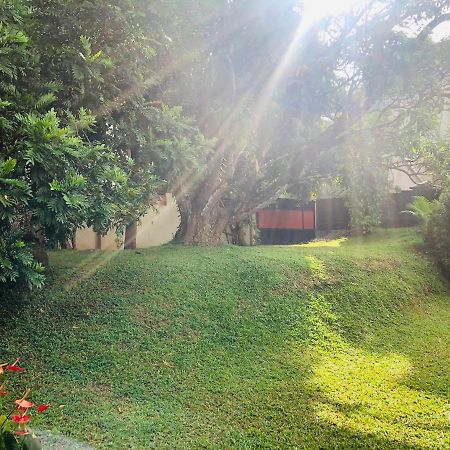 47 Alfred House - Free Pickup From Kandy City Εξωτερικό φωτογραφία