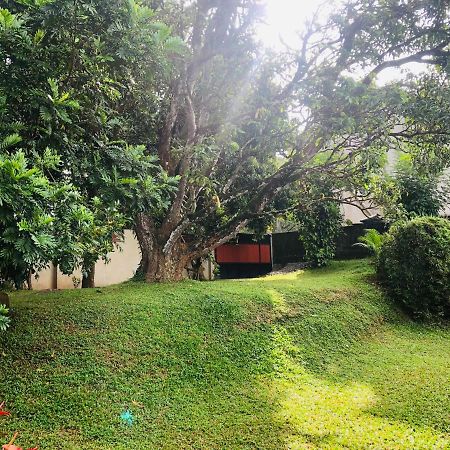 47 Alfred House - Free Pickup From Kandy City Εξωτερικό φωτογραφία