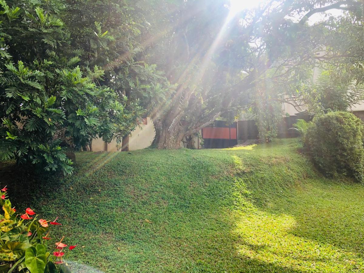 47 Alfred House - Free Pickup From Kandy City Εξωτερικό φωτογραφία
