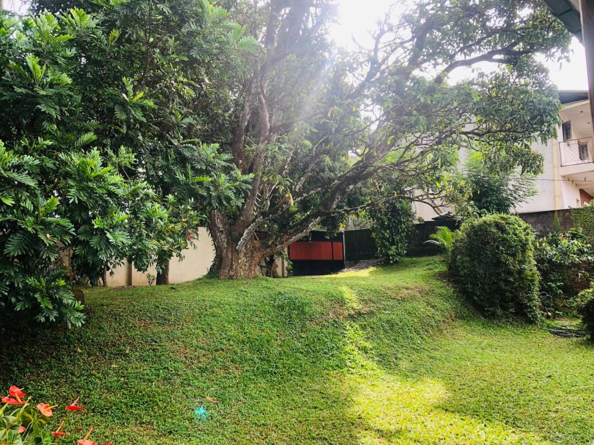 47 Alfred House - Free Pickup From Kandy City Εξωτερικό φωτογραφία